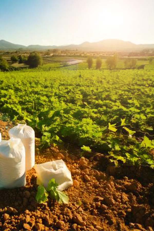 Everfert Organic Supplies - Green fields