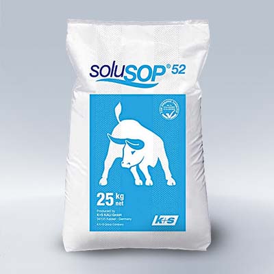 Solusop